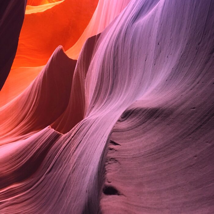 Life Coach Sherrie Wirth UpLeveling Transformation