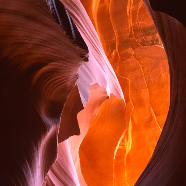 Spiritual Guidance by Sherrie Wirth